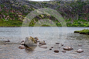 Polar landscape with granite stones and plants.