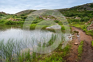 Polar landscape with granite stones and plants. North lake