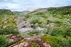 Polar landscape with granite stones and plants. North lake