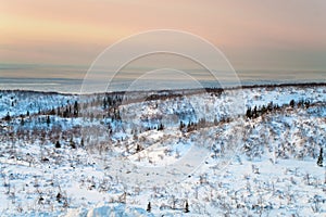 Polar night in tundra