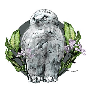 Polar owl sitting with closed eyes round composition decorated with branches with leaves and flowers