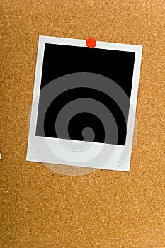 Polaroids on Corkboard