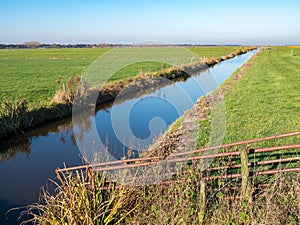 Polder with ditch and meadows and church tower of Eemnes at horizon, Eempolder, Netherlands