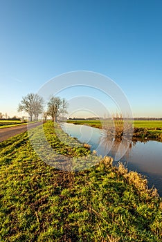 Polder landscape with a ditch in wintertime