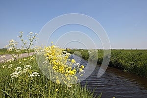 Polder Waterland Noord-Holland