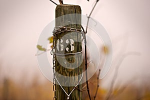 Pole in an Italian vineyard printed with the number 63