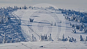 Pole marked hiking path in winter
