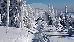 Pole marked hiking path in winter mountains