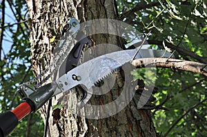 Pole Pruner Saw photo