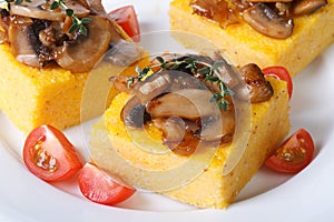 Polenta with mushrooms and thyme on a white plate.