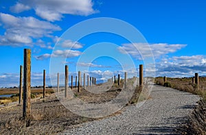 The `Poles` at Baylands Reserve