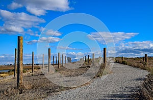 The `Poles` at Baylands Reserve photo