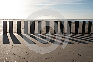 Poles on the beach