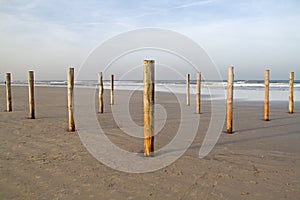 Poles on beach photo