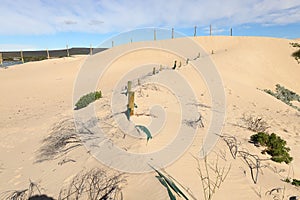 Poles with netting in dunes, used to stabilize the sand of the dunes at Witsand, South Africa