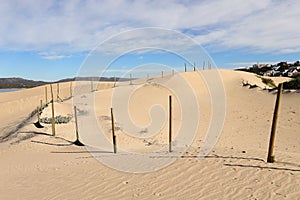 Poles with netting in dunes, used to stabilize the sand of the dunes at Witsand, South Africa photo