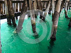 Poles providing support under pier