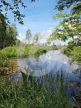 Poleski National Park, Poland