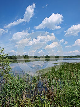 Poleski National Park, Poland