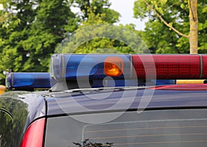 police car during controlling in the public park during manifest