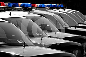 Police Cars in a Row