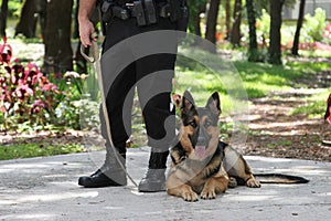 Police Dog 2