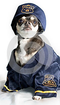 Police Dog