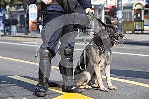 Police dog