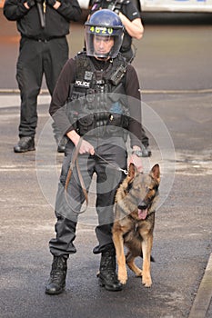 Police dog in action