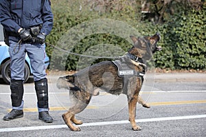 Policía el perro ladra durante en la ciudad 