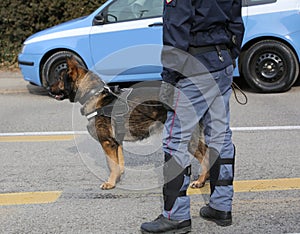 Police dog of the Italian police during a event