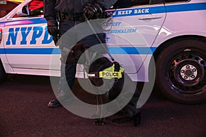 Police dog in New York City on duty