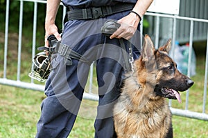 Police dog. Policeman with a German shepherd on duty.