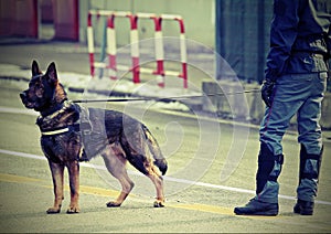 Police dog and a policeman with vintage effect on the street