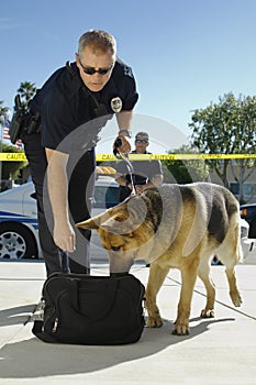 Police Dog Sniffing Bag photo