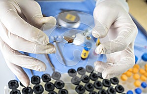 Police expert checks samples chemical as fundamental test in a murder case in crime lab