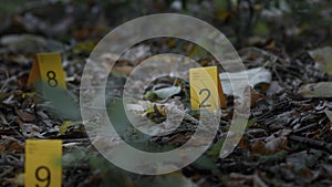 Police Forensics Markers Next to Bullets on the Leaves of a Forest Floor