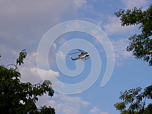 Police helicopter flying in the blue sky during the day, tree branches on the edges, side view