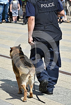 Police officer and his german shepherd dog