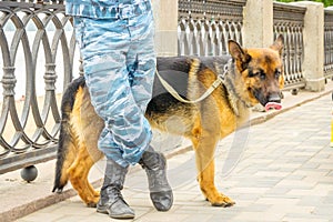 Police officer and service dog on duty on the embankment of the city.