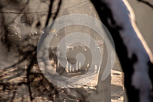 Police with shields to disperse protesters in Kyiv