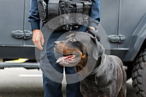 Policeman and balck dog on duty