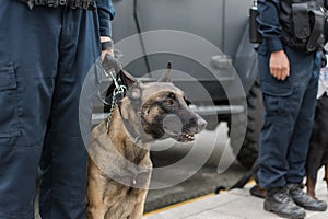 Policeman and dog on duty