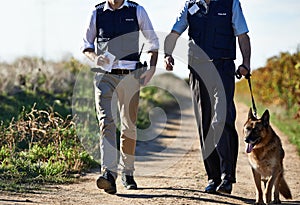 Policeman, dog and walk in field for search in crime scene or robbery for evidence, safety and law enforcement