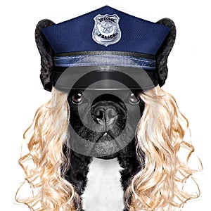 Policeman or policewoman with dog