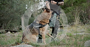 Policeman, sniffer dog or patrol a crime scene on field, first responder or law enforcement for investigation in k9 unit