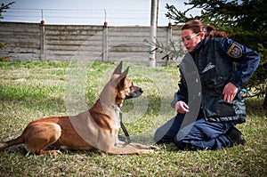 Policeman training dog
