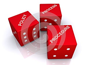 Policy process procedure dice