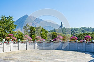 Polin temple with Buddha image in Hong Kong photo