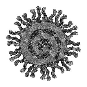 Poliovirus, bound to the poliovirus receptor PV, CD155. Atomic-level structure photo